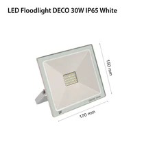 REKORD DECO LED reflektor 30W 6000K fehér