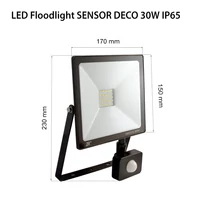REKORD DECO LED SENSOR reflektor mozgásérzékelővel 30W 6000K fekete